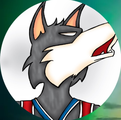 4º SANTOS NIGHT RUN