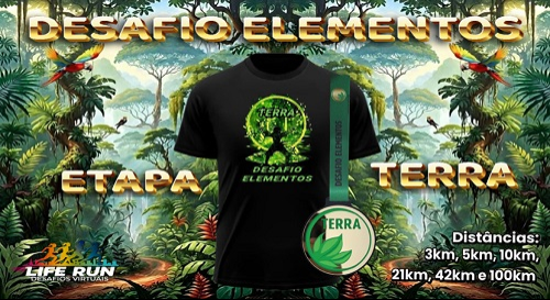 1 DESAFIO ELEMENTOS
