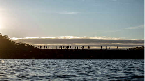 FODAXMAN SOLO POINT FIVE 2026