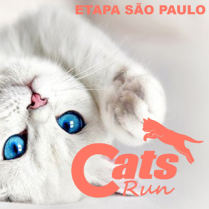 Cats RUN SP 2026
