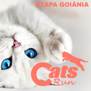 Cats RUN GO 2026