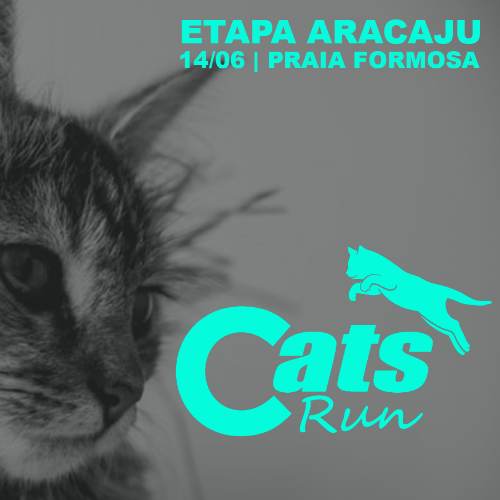 CATS RUN SE 2026