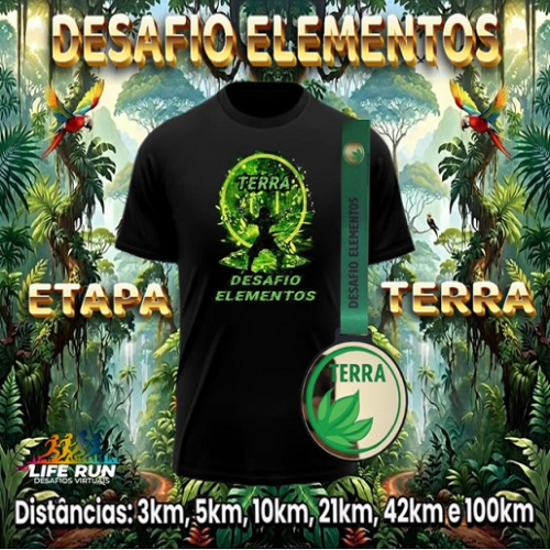 1° DESAFIO ELEMENTOS – 3 ETAPA TERRA