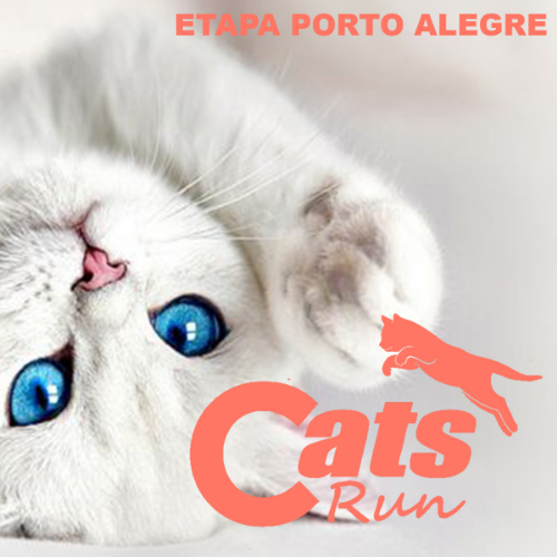 CATS RUN RS 2026