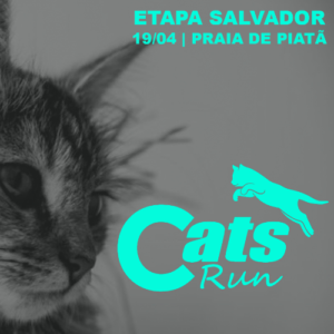 Cats RUN BA 2026