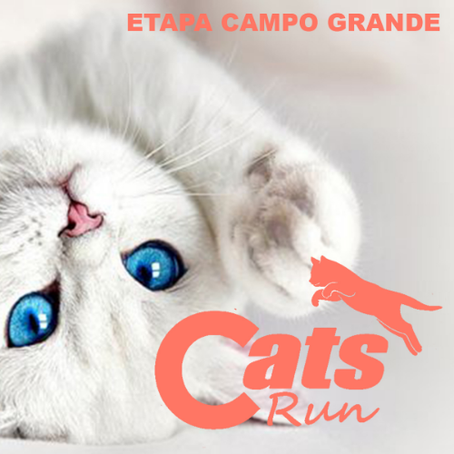 Cats Run MS 2027