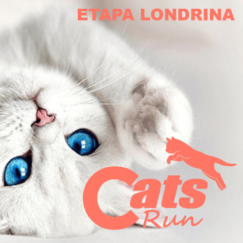 Cats Run PR 2027: Inscrições e Percurso em Londrina