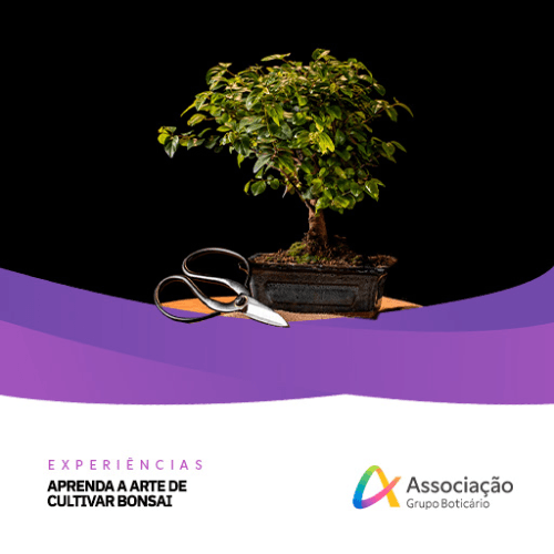 Experiência – Arte de Cultivar Bonsai 2026: Inscrições e Programação em Curitiba