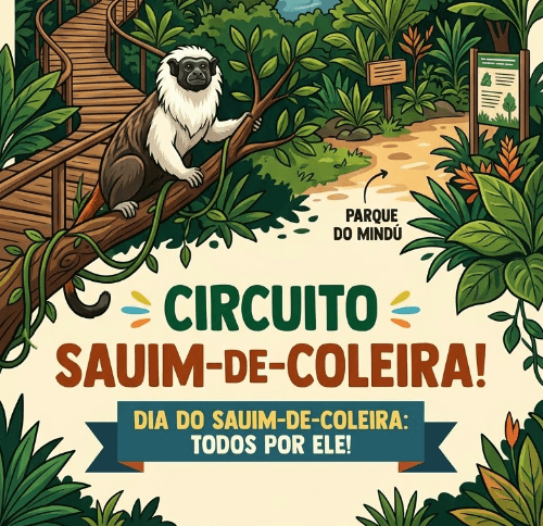 I Circuito Sauim de Coleira 2026: Inscrições e Percurso em Manaus